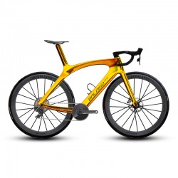 BALDISO  B1