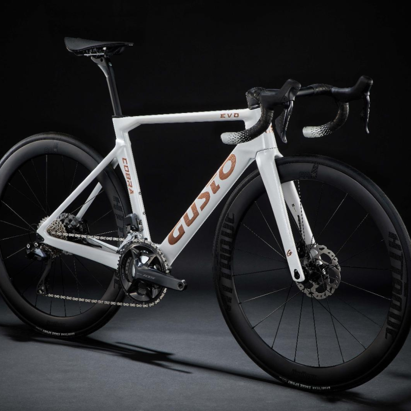 GUSTO COBRA EVO