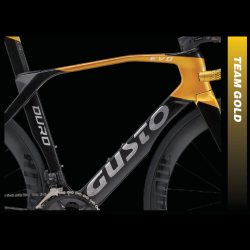 GUSTO DURO EVO