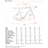 Cervélo ASPERO  GRX RX600  2024