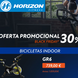 BICICLETA INDOOR HORIZON GR6